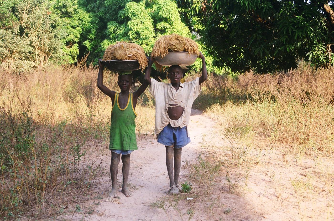 Two children carrying bundles of grass on their heads along a village path