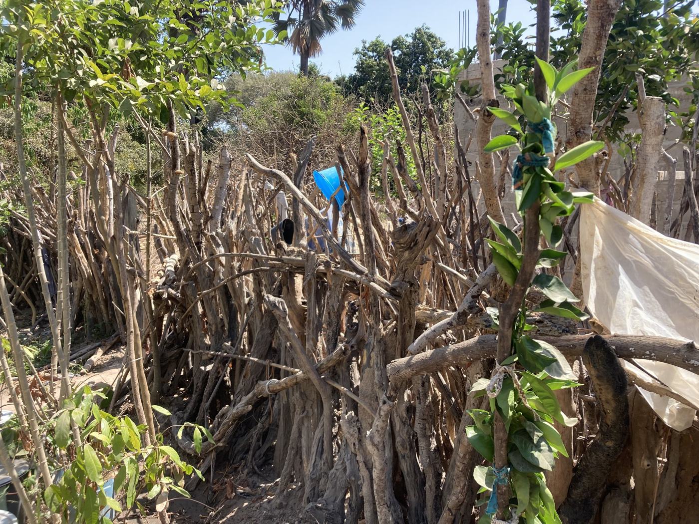 A village fence built from cut branches and scrap metal